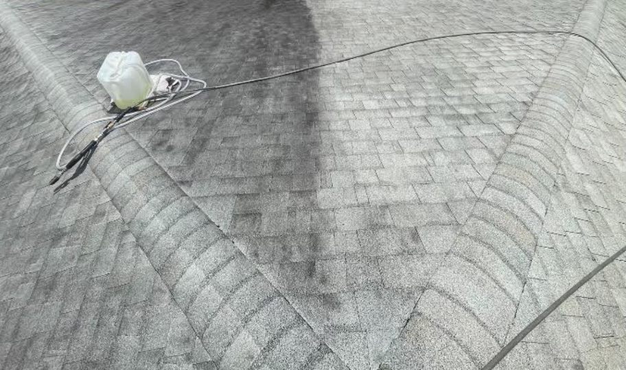 Roof shingles partly cleaned, with the clean stripe next to the dark stained section